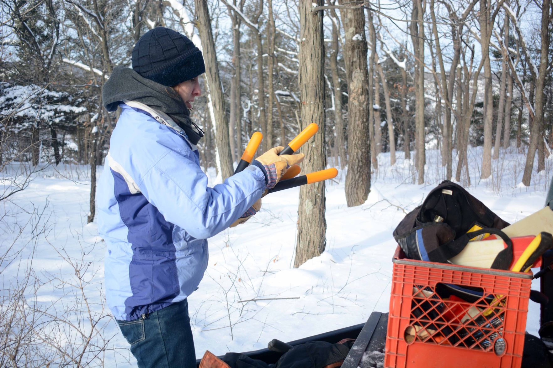 Devil's Lake east bluff stewardship work